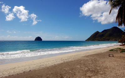 Organiser son voyage en Martinique : les informations a connaitre