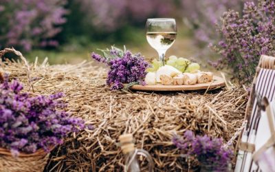 Château virant : un voyage gustatif au cœur de la Provence